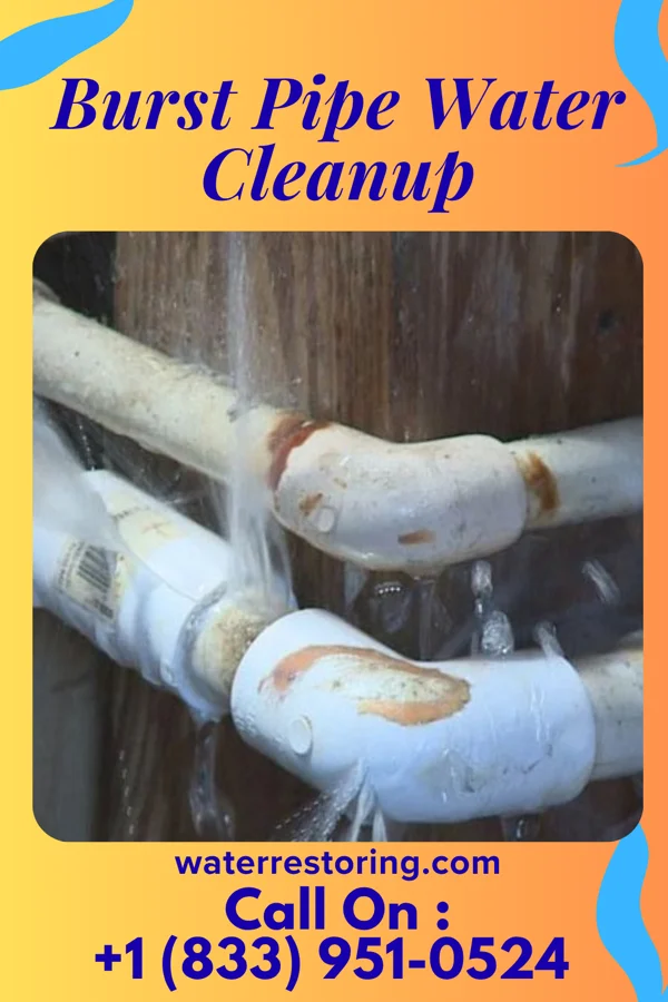 Burst Pipe Water Cleanup in Somerset, PA