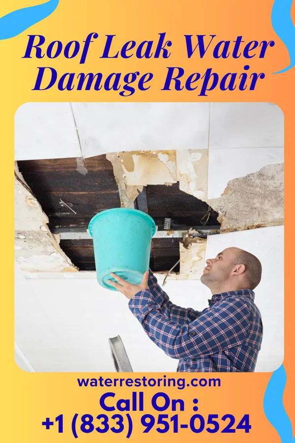 Roof Leak Water Damage Repair in Somerset, PA
