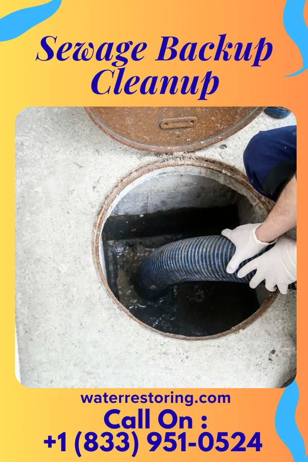 Sewage Backup Cleanup in Somerset, PA