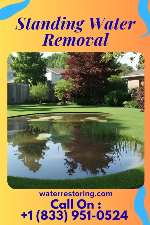 Standing Water Removal in Somerset, PA
